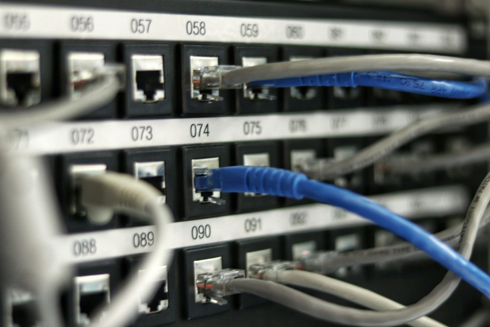 Netzwerk-Patchpanel mit Kabeln